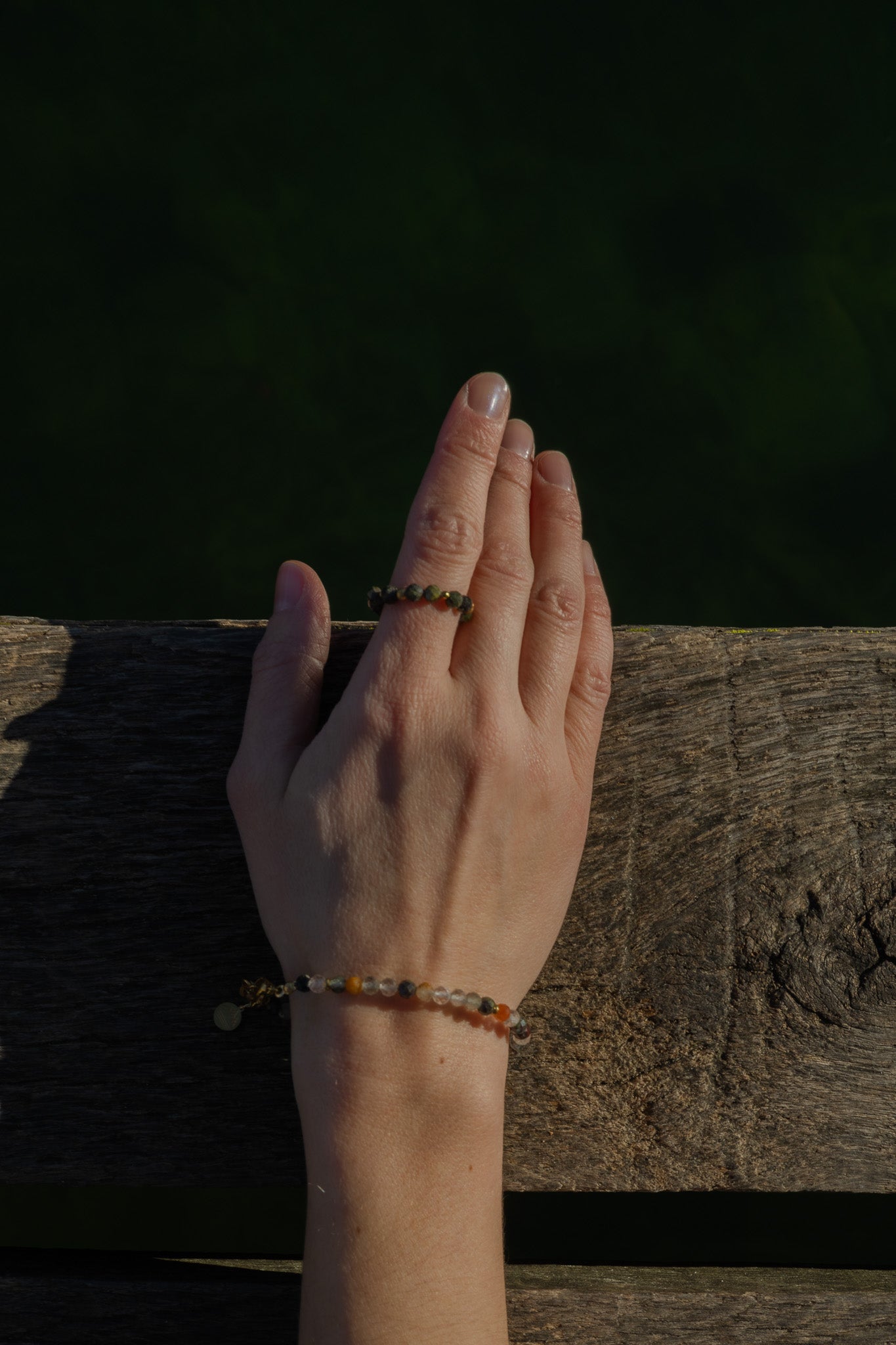 Le Bague Force des Alpes